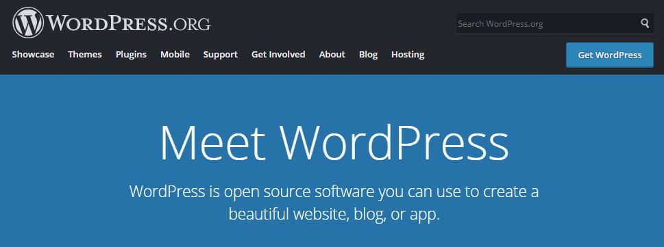 WordPress the best site engine today for online shop as well