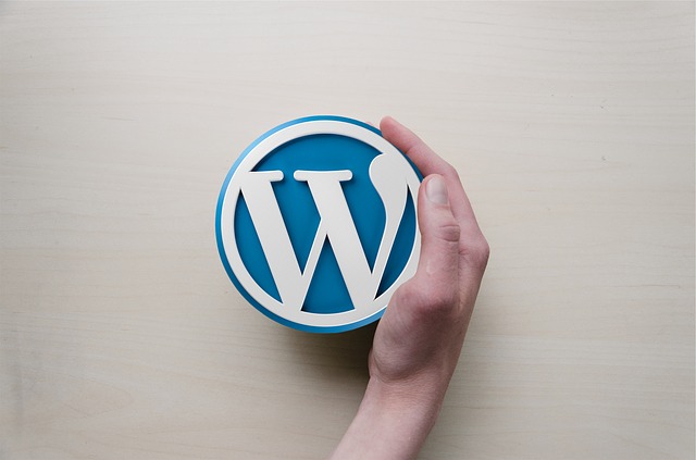 WordPress Plugins For Data Engineers
