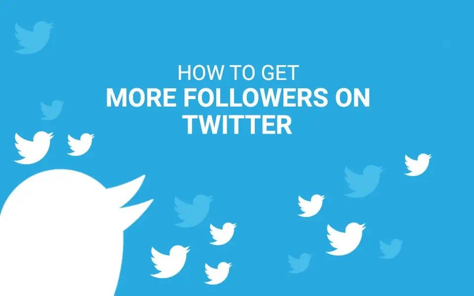 Strategies to Gain More Twitter Followers