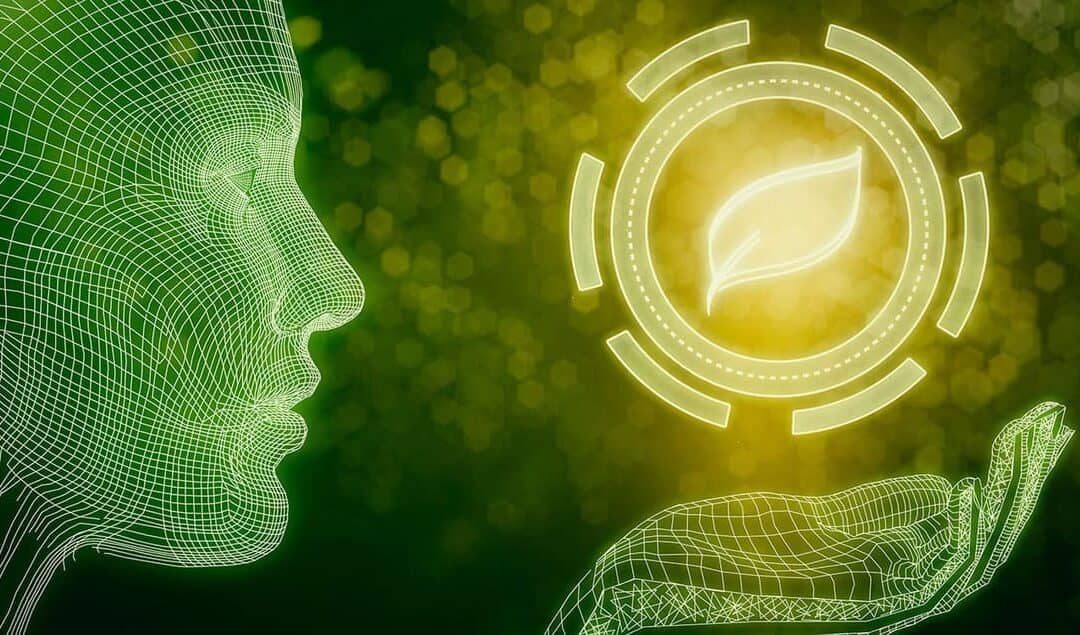 The Role of AI in Modern Environmental Consulting