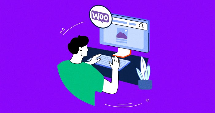 Top Add-Ons to Customize Your WooCommerce Store Look